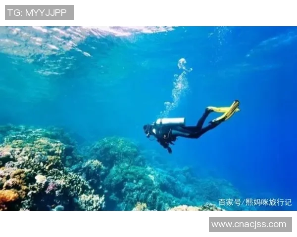 深潜探索：游泳运动的奥秘