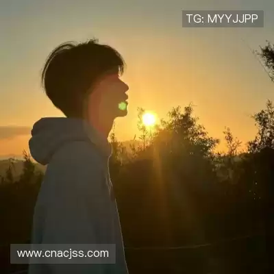 陈泉晶